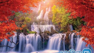 راهنمای بازدید از کشور آبشارها