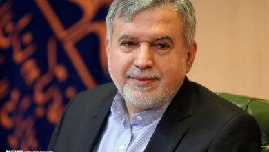 وزیر میراث‌ فرهنگی عازم گرجستان شد
