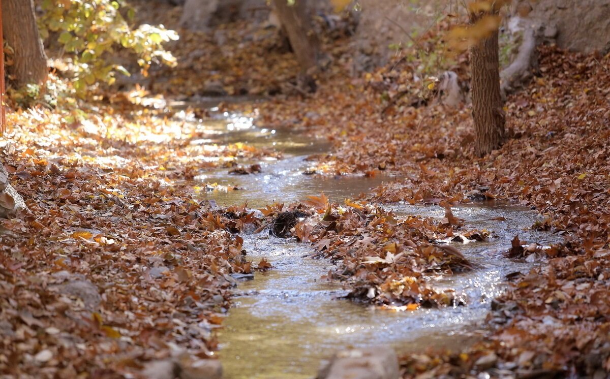 ۲۰۴ روستا در دل استان قم/ گویش قمی ثبت ملی می‌شود