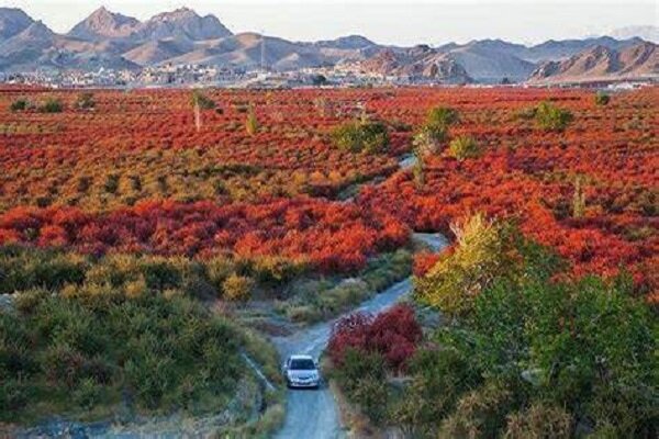 دلربایی پاییز خراسان جنوبی برای گردشگران/رویش مسافر در فصل خزان - خبرگزاری مهر | اخبار ایران و جهان دلربایی پاییز خراسان جنوبی برای گردشگران/رویش مسافر در فصل خزان - خبرگزاری مهر | اخبار ایران و جهان