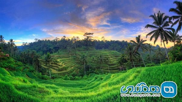 سفر به سواحل خورشیدی؛ کدام جاذبه های بالی ارزش دیدن دارد؟