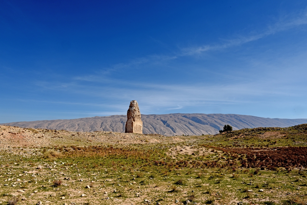 شهر «گور» جان می گیرد؟