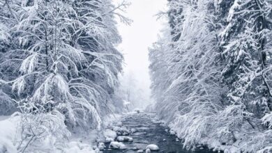 بهترین کشورهای اروپایی برای مسافرت زمستانی