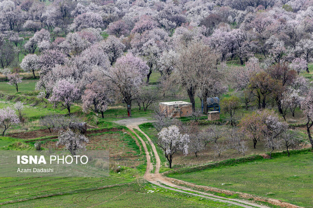 «قزوین» گنجینه تاریخ ایران - ایسنا معرفی «قزوین» گنجینه تاریخ ایران