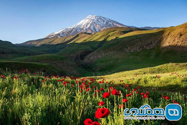دشت لار