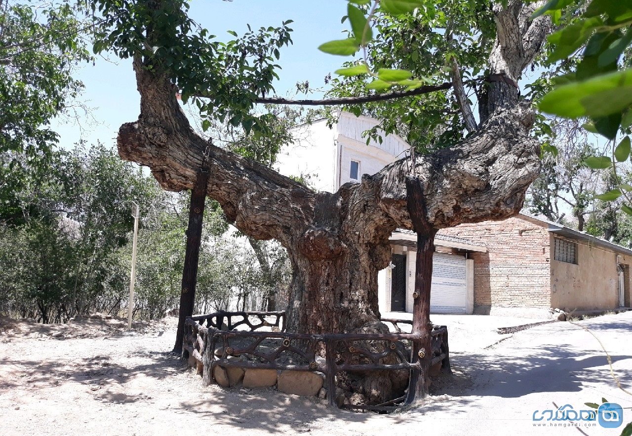 کمان رستم