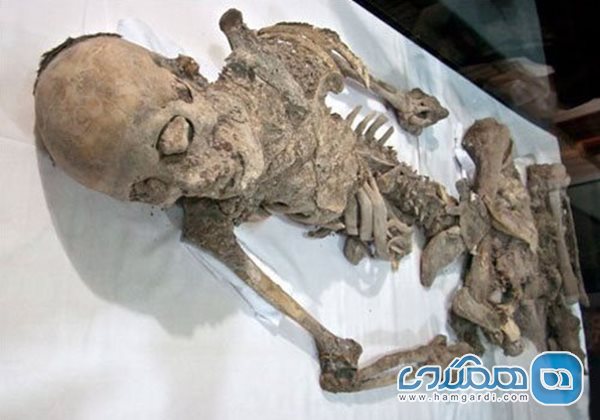 موزه باستان شناسی زنجان