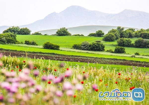 سفر به نمین