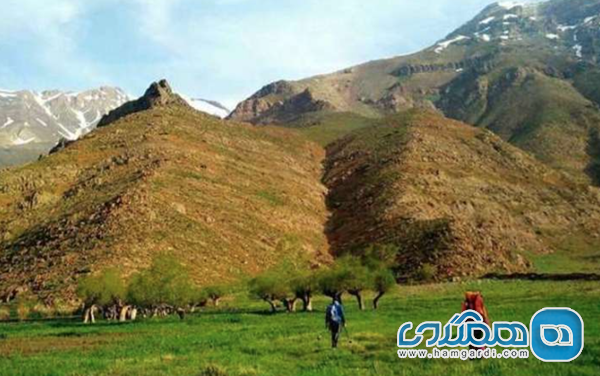 سفر یک روزه از تهران به روستای افجه: طبیعت بهاری مسیر دسترسی به روستای افجه