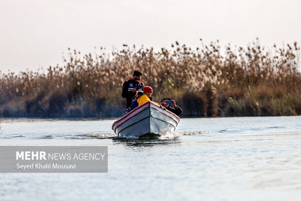 «تالاب شادگان» و آواز آب در آغوش نیزارهای ساحل بهار