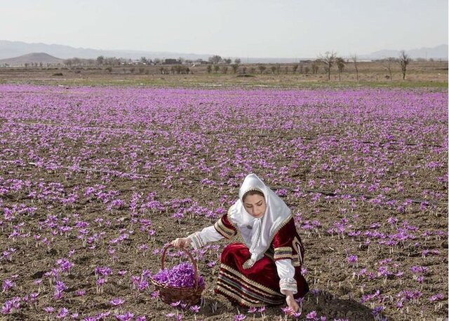 پتانسیل‌های گردشگری بردسکن؛ دروازه‌ای به سوی توسعه اقتصادی