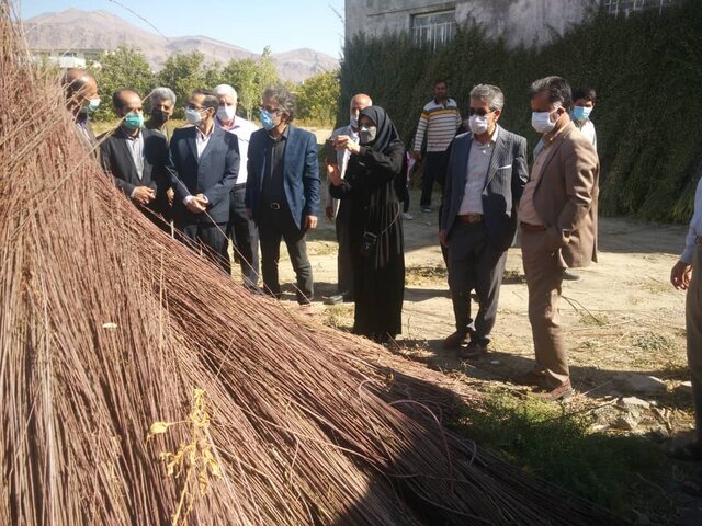 مرواربافی ملایر، هنری از دل تاریخ