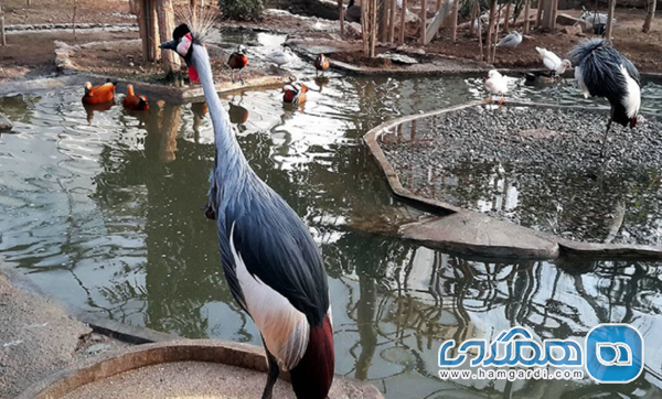 باغ پرندگان تهران