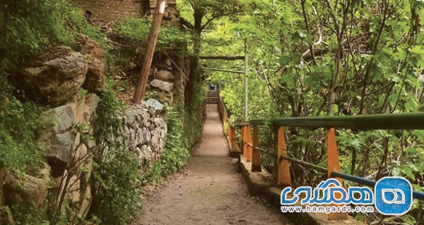 درکه تهران