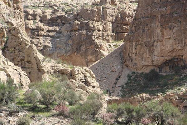 قلعه دختر تهدید شد!
