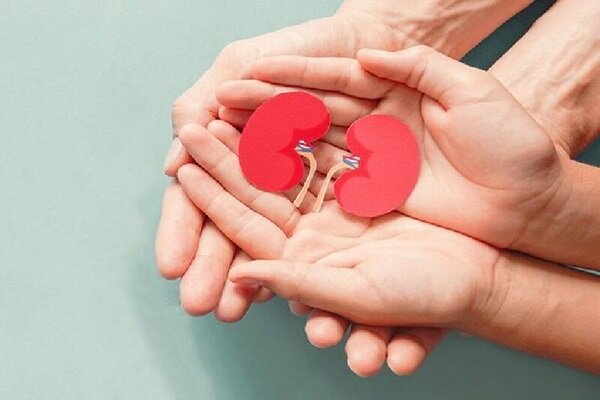 اهدای عضو گردشگر جوان در کیش - خبرگزاری مهر | اخبار ایران و جهان اهدای عضو گردشگر جوان در کیش - خبرگزاری مهر | اخبار ایران و جهان