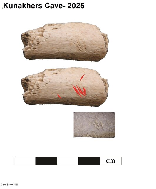 شناسایی شواهدی از نئاندرتال‌ها در غاری از کرمانشاه