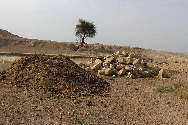 غبار فراموشی بر گنجینه ۶۰۰۰ سالۀ ایران