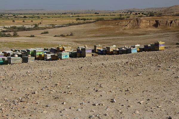 غبار فراموشی بر گنجینه ۶۰۰۰ سالۀ ایران