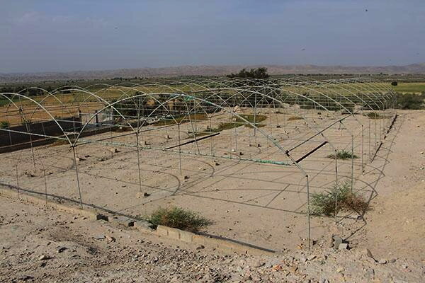غبار فراموشی بر گنجینه ۶۰۰۰ سالۀ ایران