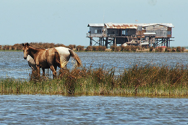 تحول گردشگری گلستان با محوریت برج قابوس، موزه روستایی و آشوراده