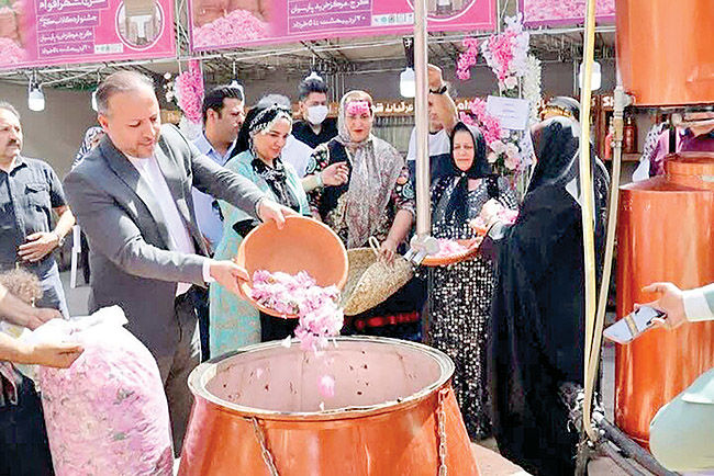 آیین گلابگیری کاشان جهانی شد آیین گلابگیری کاشان جهانی شد