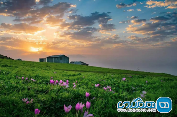 ماسال و ییلاقات گیلان: آغوش مه، آرامش و طعم های شمالی