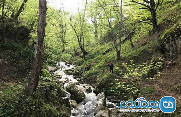 10 پیشنهاد برای زوج ها در ماسال