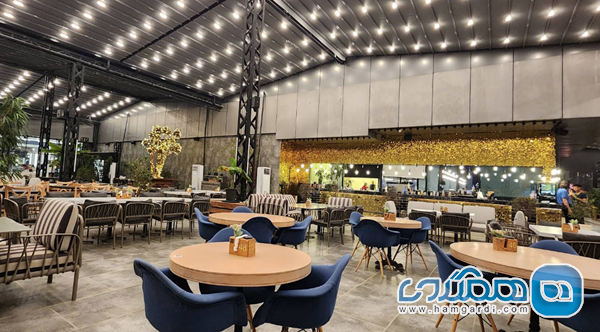 کافه دامون: پاتوقی دنج برای کار، مطالعه و دورهمی های دوستانه