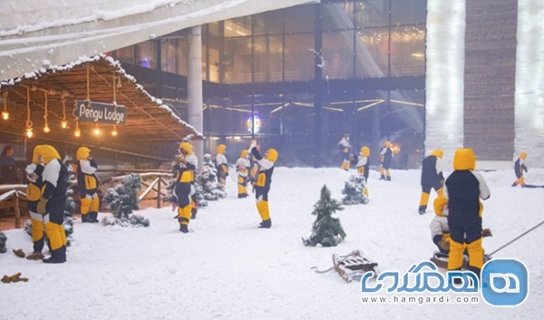 سرزمین برفی پنگوئن کیش