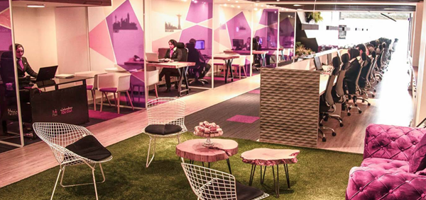 آژانس نهال گشت