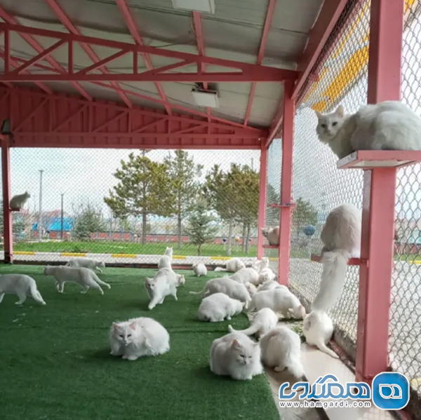 قیمت تقریبی برخی جاذبه ها