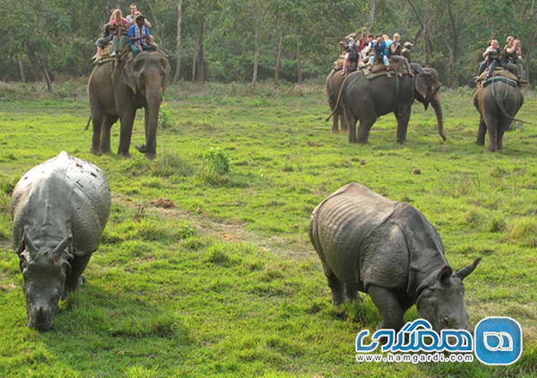 پارک ملی چیتوان