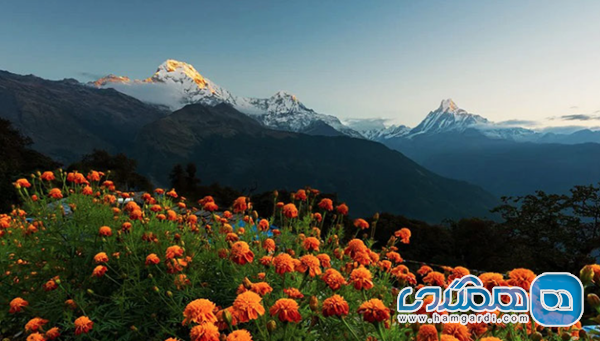 مروری بر آب و هوای تابستانی