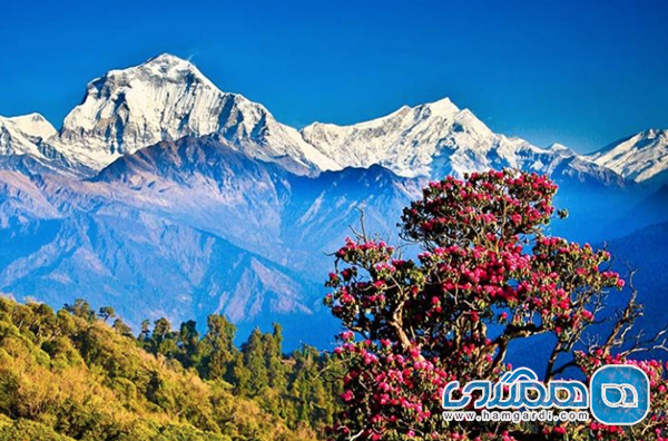 اینترپید تراول 