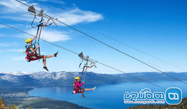 سایر فعالیت های اختیاری