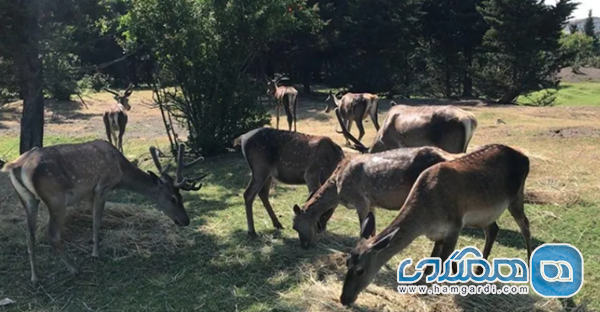 ساحل صدف و پناهگاه حیات وحش لوندویل