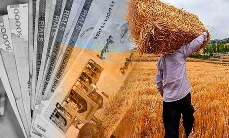 خبر مهم برای گندمکاران/ قیمت جدید گندم به این عدد نزدیک میشود خبر مهم برای گندمکاران/ قیمت جدید گندم به این عدد نزدیک میشود
