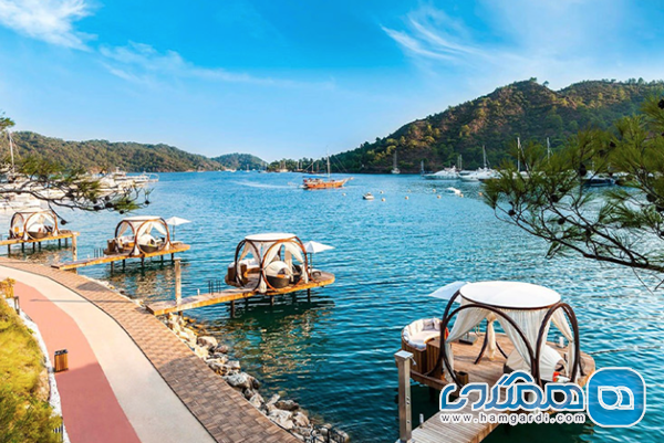 تحلیل اقتصادی: کاهش هزینه ها و آرامش شهر