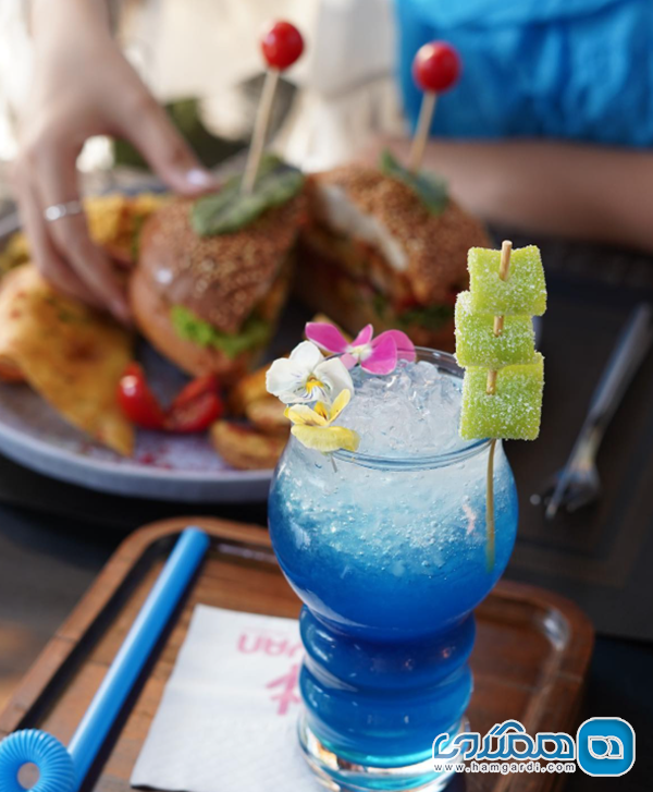 راهنمای عملی و خدمات جامع