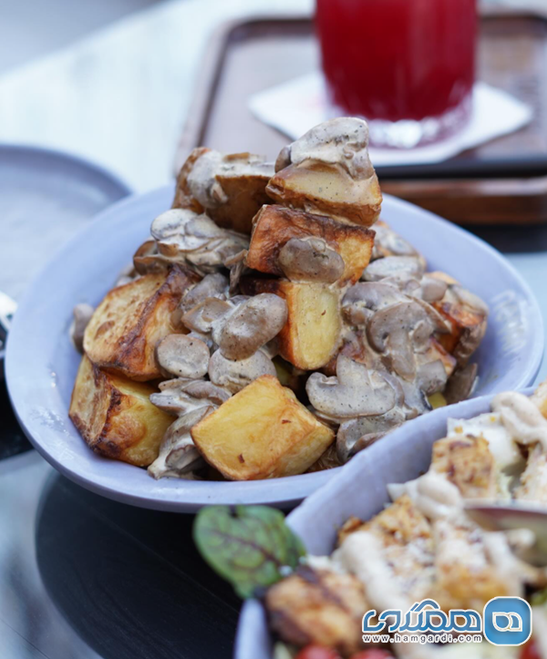 پیشتازی در غذاهای فرنگی تخصصی