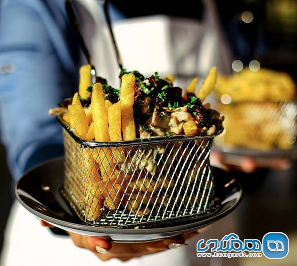 جزئیات مهم عملیاتی و ساعات کار