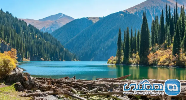 اکوتوریسم و طبیعت گردی