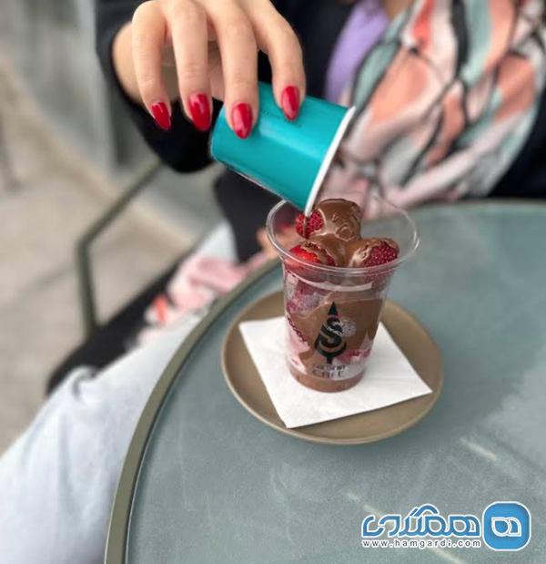 جایگاه رقابتی و محصولات مکمل