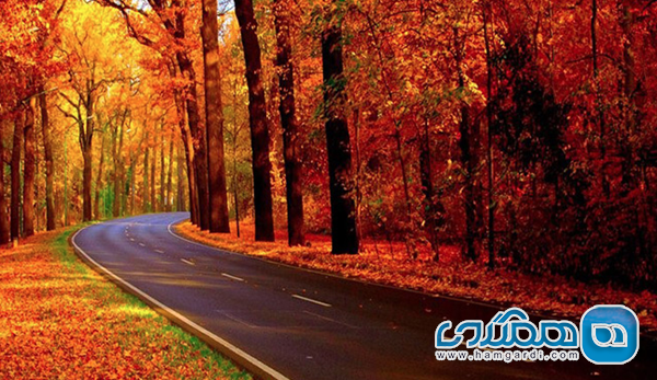 رستوران مرشد نور: جایی برای عاشقان غذاهای سنتی پیوند مرشد نور با جاذبه های گردشگری پاییزی مازندران