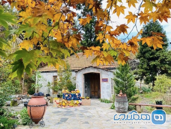 زیبایی های باغ گیاه شناسی و گردشگری منطقه آجارا