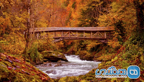 جاذبه های فرهنگی و طبیعی پاییزی