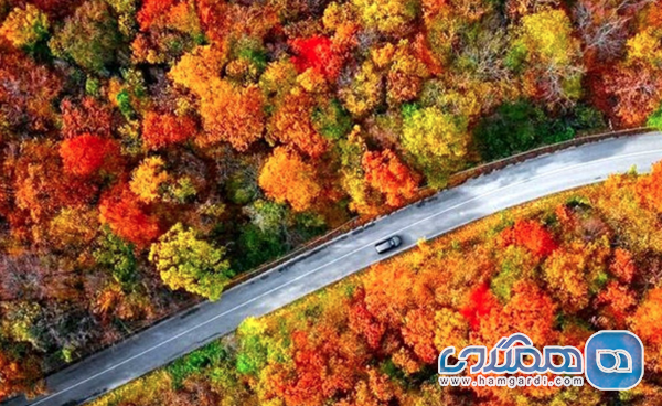 تحلیل ترندهای جستجو در مهر ۱۴۰۴: نقطه عطف گردشگری پاییزی