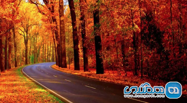 شمال هزار رنگ: زیباترین مسیرها برای طبیعت گردی پاییزی