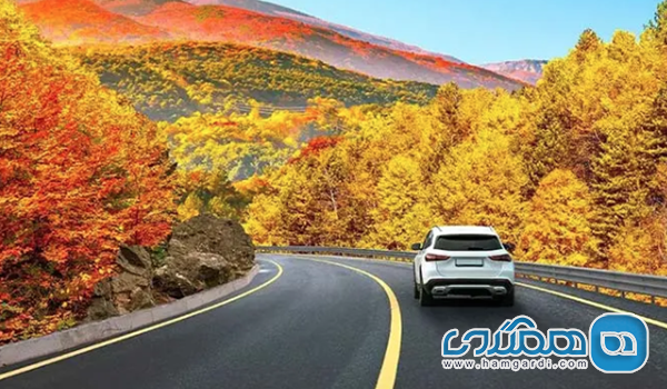 مسیرهای جایگزین